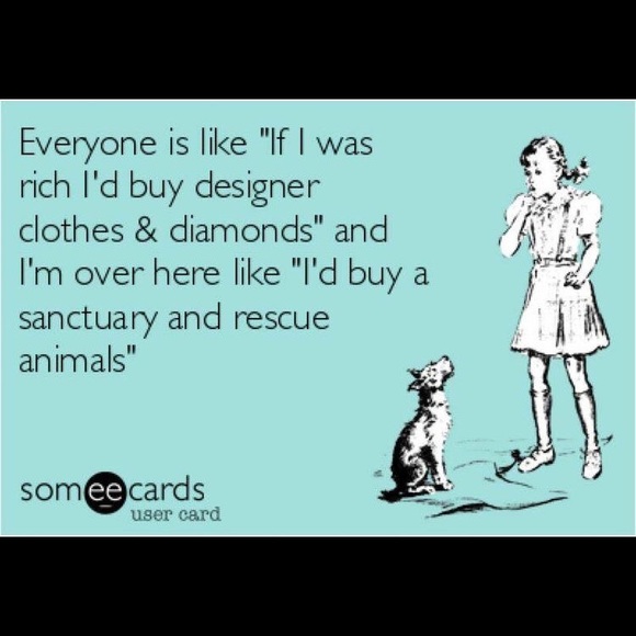 Meet your Posher, Rhea. - Picture 7 of 8